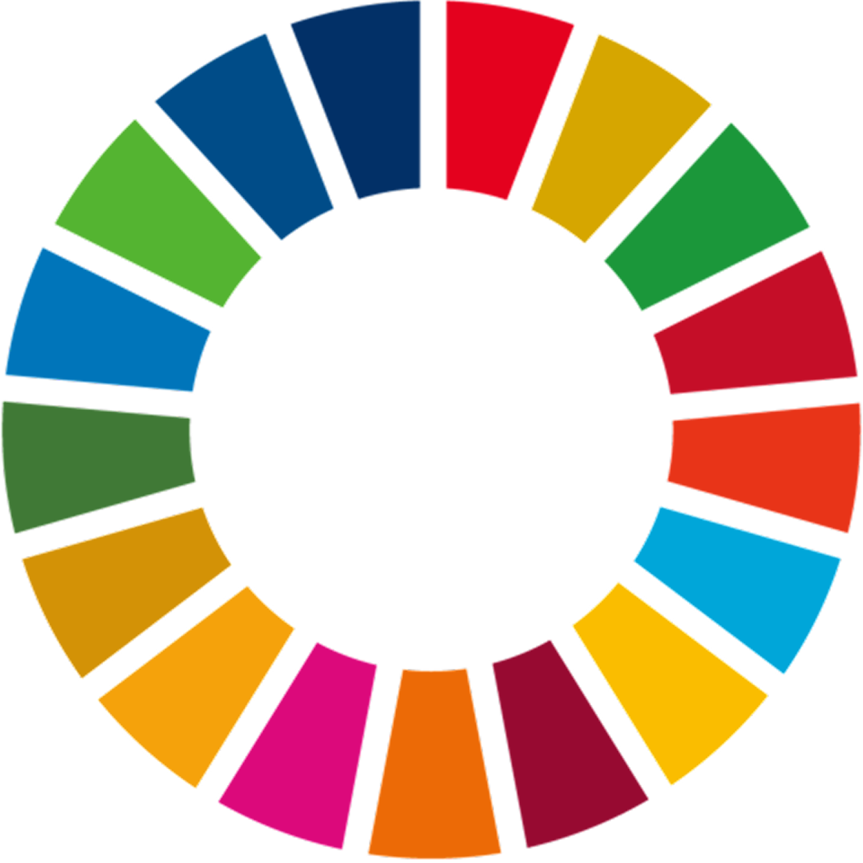 SDG Logo